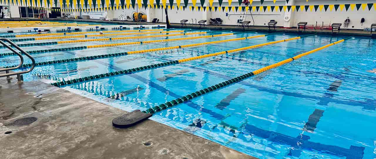 University of San Francisco pool photo