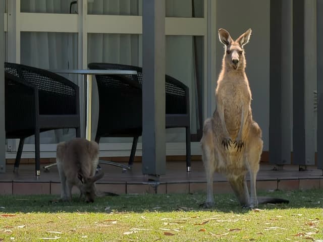 Cotton Tree Aquatic Centre gallery image