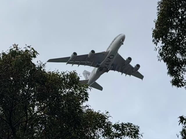 Leichhardt Park Aquatic Centre gallery image