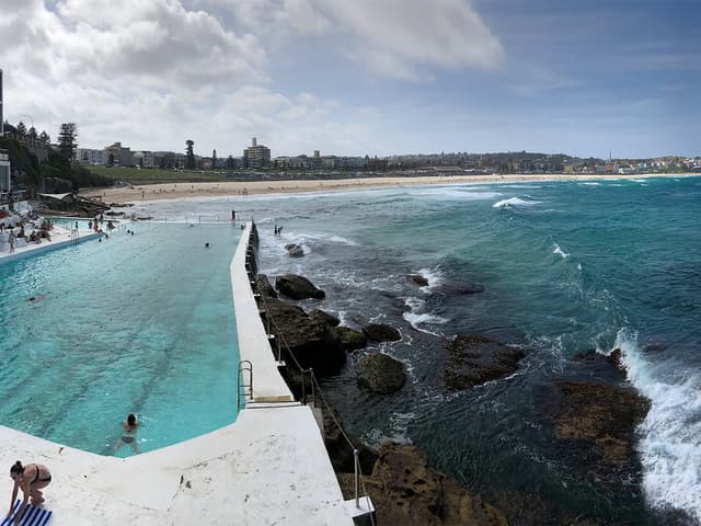 Bondi Beach Icebergs Swimming Club gallery image