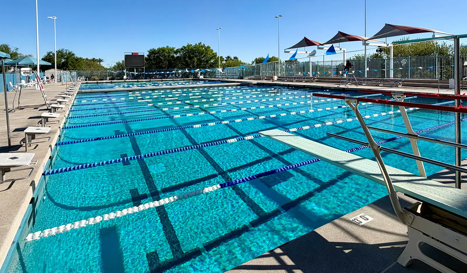 Henderson Multigenerational Outdoor Competition Pool pool photo